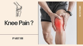 Relieve Knee Pain Essential Exercises for Strength  Part 3 [upl. by Dnalrag184]