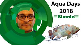 Aflatoxin is not the only mycotoxin challenge the aquaculture industry faces [upl. by Odlanyar938]