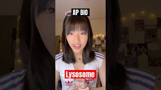 AP Bio Part 24 Lysosomes 🔬 apbio apbiology biochemistry cellbiology science stem fyp [upl. by Odnaloy]