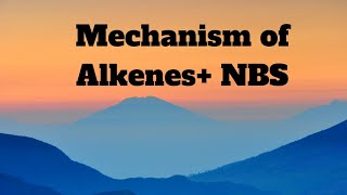 31Mechanism of AlkeneNBS reaction CBSE CHEMISTRYClass 11 [upl. by Eiznik846]