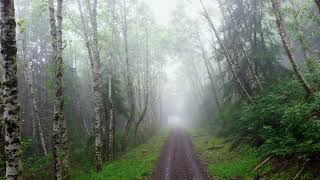 Tillamook Forest Oregon  Last visit to Gods Valley [upl. by Norman721]