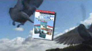 Pigeon Racing Secrets of Champions 1234 Collection [upl. by Duck]