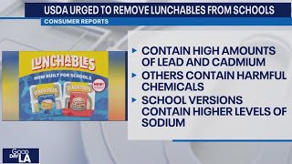 USDA urged to remove Lunchables from schools [upl. by Lyrahc]