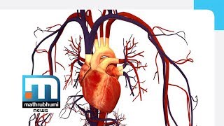 Damages To Heart Valves Doctor 2PM Mathrubhumi News [upl. by Mccurdy]