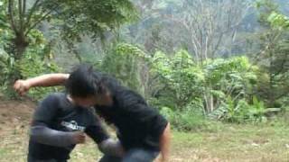 Trailer DVD Ciung Wanara 100 Self Defence [upl. by Trude]