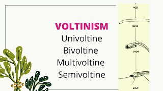 Voltinism univoltine bivoltine multivoltine semivoltine [upl. by Val579]