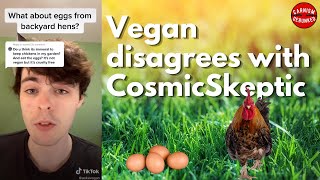 I Disagree With CosmicSkeptic on Eggs [upl. by Anihcak]