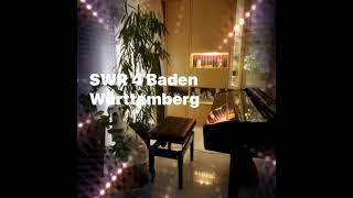 SWR4 Baden Württemberg „Musik aus dem Land“ W Dippon vom 1362021 [upl. by Marih]