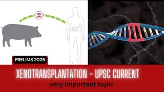 XENOTRANSPLANTATION  CURRENT AFFAIRS VERY IMPORTANT TOPIC  Daily quiz  currentaffairs upsc [upl. by Hadleigh913]