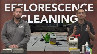 Efflorescence Cleaning Tips [upl. by Itsirhc777]