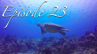 DIVING BONAIRE WARNING Pervasive and Extensive Scuba Content Sailing Zatara Ep 23 [upl. by Japheth]