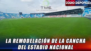 Nueva grama del Nacional  La remodelación de la cancha del Estadio Nacional Chelato Úcles [upl. by Ettena]