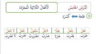 Arabic Morphology 5  BROADER SCALES OF TRILITERAL VERBS [upl. by Neda]