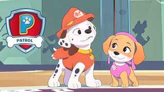 Two Best Pups 🎵🚁 PAW Patrol Songs [upl. by Enoved787]