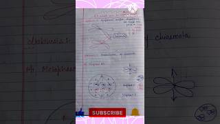 Meiosis Prophase 1  Leptotene  Zygotene  Pachytene  Diplotene  Diakinesis  Flow chart [upl. by Ahsiloc]