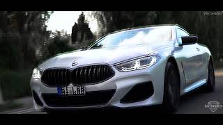 BMW 8er Sternenhimmel Umbau by Autronics Germany [upl. by Anastas]