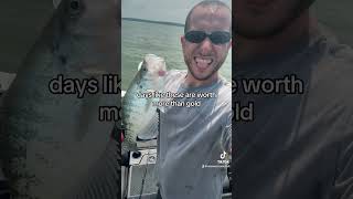 Carlyle lake July 28th 2024 All fish caught on 132oz jig heads crappie crappiefishing fishing [upl. by Aikam464]