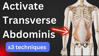 How to activate your Transverse Abdominis Muscle amp Pelvic Floor [upl. by Aneleairam]