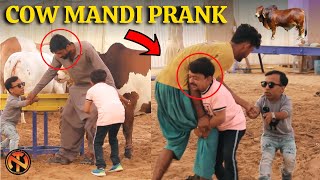 Fibbi Cattle Farm Prank  Cow Mandi 2021  New Talent [upl. by Eeroc]