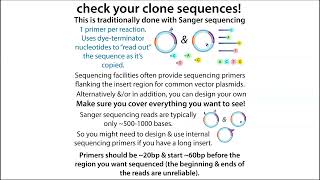 Sequencing your plasmids emphasis on Sanger sequencing [upl. by Josler]