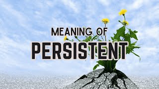 What is the meaning of Persistent [upl. by Chas555]