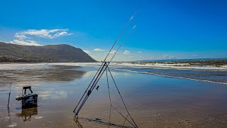 First Bass session of 2024 on the North Welsh coast [upl. by Aerdnuahs191]