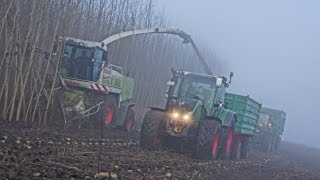 Holzhäckseln mit Claas Jaguar [upl. by Noved]