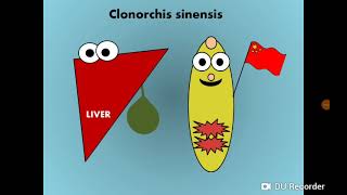 Clonorchis Opisthorchis amp Dicrocoelium Liver Fllukes المثقوبات الكبدية [upl. by Sherfield]