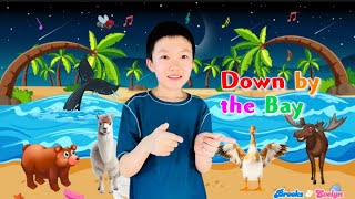 Nursery Rhyme Down by the BayKids Song Down by the Bay with Lyrics Down by the Bay Song for Kids [upl. by Acsirp]