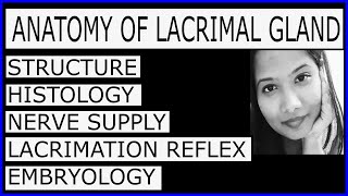 Anatomy of Lacrimal Gland Complete Lecture  Structure HistologyNerve SupplyEmbryology [upl. by Bunow]