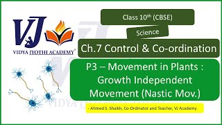 P3 – Movement in Plants  Growth Independent Movement  Class 10th Ch7 [upl. by Anomas]