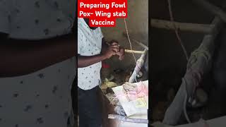 Preparing Fowl Pox Wing stab Vaccine poultryfarming [upl. by Nivra]