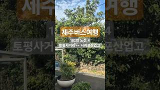 제주도 버스여행 182번 노선 시리즈4 Jeju Island Bus Tour Route 182 Series4 [upl. by Anaoj]