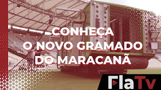 FlaTV conhece o novo gramado do Maracanã [upl. by Hairej]