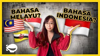 Malay vs Indonesian  Whats The Diff [upl. by Etnahc]