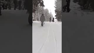 Rodelbahn an der Wurmbergseilbahn Braunlage im Harz [upl. by Yvon]