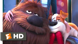 The Secret Life of Pets The cats and Animal Control HD CLIP [upl. by Nibot173]