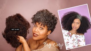 THE BIG CHOP 2018  From Mid Back To Tapered Cut amp Embracing My Silver  Samantha Pollack [upl. by Aileen62]