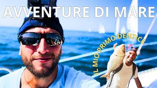 CRONACA DI UNA REGATA E LA PESCA DI UN DENTICE AVVENTURE DI MARE [upl. by Timothea]