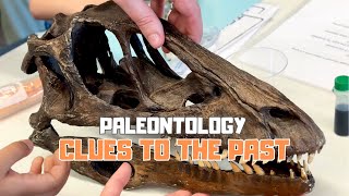 Paleontology Clues to the Past  How do Fossils form [upl. by Katushka944]