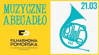 Muzyczne Abecadło  W jak waltornia  Filharmonia Pomorska [upl. by Ynattyrb602]