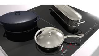 De Dietrich Continuum Induction Hob [upl. by Ocsinarf]