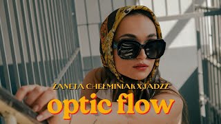 Żaneta Chełminiak  optic flow lyrics video [upl. by Beasley]