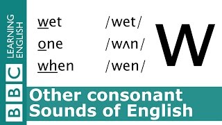 English Pronunciation 👄 Consonant  w  wet one and when [upl. by Akeret]