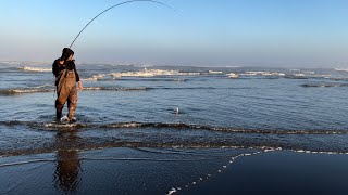 WASHINGTON COAST SURF FISHING [upl. by Hurst]