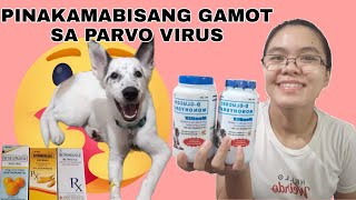 PARVO VIRUS EARLY SYMPTOMS REMEDIES AND HOW TO AVOID IT  Tagalog  Kate Segala [upl. by Marlene]