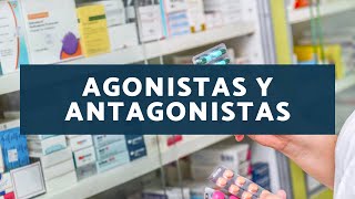 Agonistas y antagonistas [upl. by Adnir]