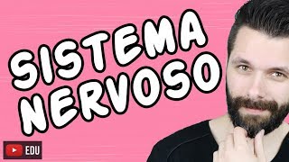 SISTEMA NERVOSO  FISIOLOGIA  Aula  Biologia com Samuel Cunha [upl. by Oettam]