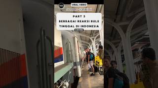 Reaksi Bule Tinggal Di Indonesia Pohon Besar Bikin Kesurupan⁉️ reaksibule shorts viralvideo [upl. by Jangro]