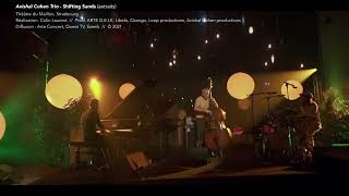 Avishaï Cohen Trio  Shifting Sands extraits [upl. by Metsky696]